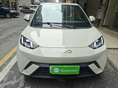 BYD Seagull Glory Edition 305km Freedom Version - ფოტო 2