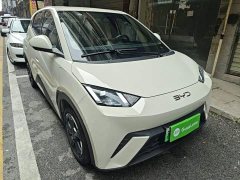 BYD Seagull Glory Edition 305km Freedom Version - ფოტო 3