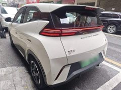 BYD Seagull Glory Edition 305km Freedom Version - ფოტო 4