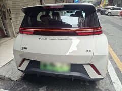 BYD Seagull Glory Edition 305km Freedom Version - ფოტო 5