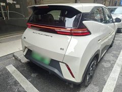 BYD Seagull Glory Edition 305km Freedom Version - ფოტო 6