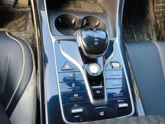 BYD Qin Plus DM-i 55KM Flagship - ფოტო 13