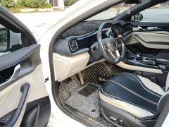 BYD Qin Plus DM-i 55KM Flagship - ფოტო 15