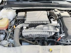 BYD Qin Plus DM-i 55KM Flagship - ფოტო 19