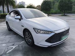 BYD Qin Plus DM-i 55KM Flagship - ფოტო 3