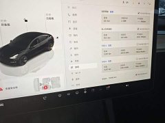 Tesla Model 3 Rear-Wheel Drive - фото 11