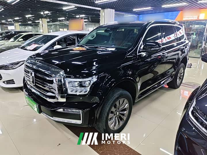 Tank 500 New Energy Hi4-T - car from China