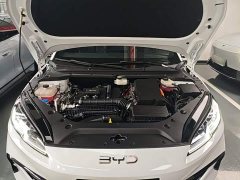 BYD Seal 06 DM-i Smart Drive 120KM Deluxe - фото 19