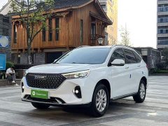 Haval M6 PLUS 1.5T DCT Luxury Smart Connected Edition - ფოტო 1