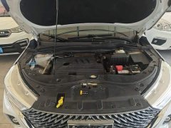 Haval M6 PLUS 1.5T DCT Luxury Smart Connected Edition - ფოტო 19