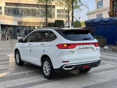 Haval M6 PLUS 1.5T DCT Luxury Smart Connected Edition - ფოტო 4