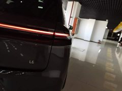 Li Auto L8 Pro - ფოტო 7