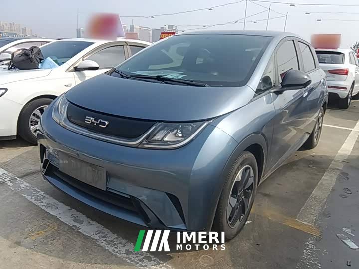 BYD Dolphin Glory Edition 420km Freedom Version