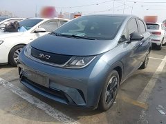 BYD Dolphin Glory Edition 420km Freedom Version - ფოტო 1