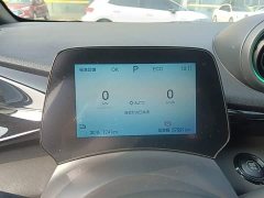 BYD Dolphin Glory Edition 420km Freedom Version - ფოტო 11