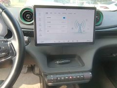 BYD Dolphin Glory Edition 420km Freedom Version - ფოტო 12