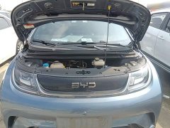 BYD Dolphin Glory Edition 420km Freedom Version - ფოტო 19