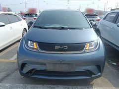 BYD Dolphin Glory Edition 420km Freedom Version - ფოტო 2