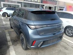 BYD Dolphin Glory Edition 420km Freedom Version - ფოტო 4