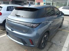 BYD Dolphin Glory Edition 420km Freedom Version - ფოტო 6