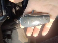 BYD Dolphin Glory Edition 420km Freedom Version - ფოტო 8