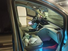 Buick GL8 ES Luxe 653T Prestige - ფოტო 17