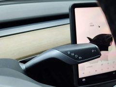 Tesla Model Y Rear-Wheel Drive - фото 13