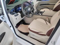 Buick GL8 ES Luxe Comfort - ფოტო 14