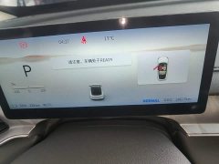 Dongfeng Xinghai S7 555 Edition - ფოტო 11