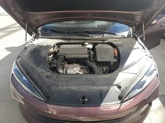BYD Seal DM-i 1.5T 200km Flagship - ფოტო 19