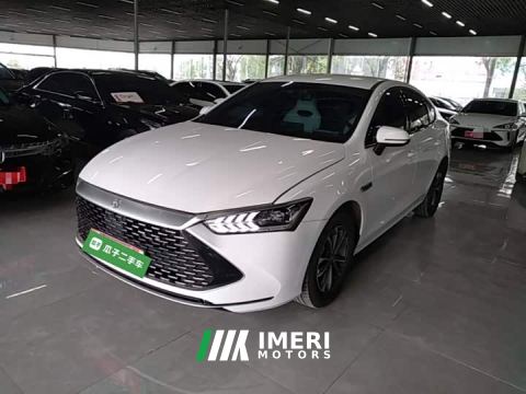2025 BYD Qin PLUS Glory Edition DM-i 55KM Leading