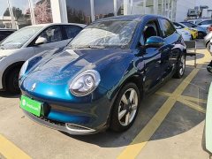 ORA Good Cat 401km Standard Range Luxury LFP - ფოტო 1