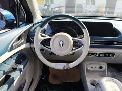 ORA Good Cat 401km Standard Range Luxury LFP - ფოტო 10