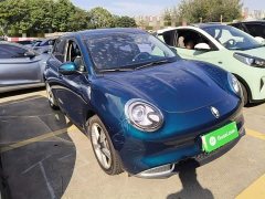 ORA Good Cat 401km Standard Range Luxury LFP - ფოტო 3