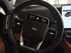 Li Auto L9 Pro - ფოტო 10