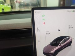 Tesla Model 3 Rear-Wheel Drive - фото 13