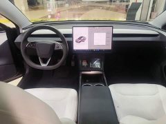 Tesla Model 3 Rear-Wheel Drive - фото 9