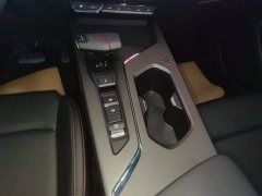 Changan X5 PLUS 1.5T DCT Pioneer Trim - ფოტო 13