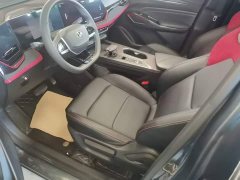 Changan X5 PLUS 1.5T DCT Pioneer Trim - ფოტო 14