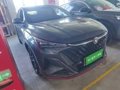 Changan X5 PLUS 1.5T DCT Pioneer Trim - ფოტო 3