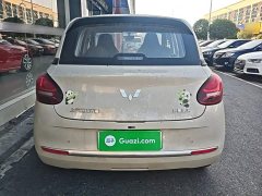 Wuling Binguo 203km Light Enjoy Edition - ფოტო 5