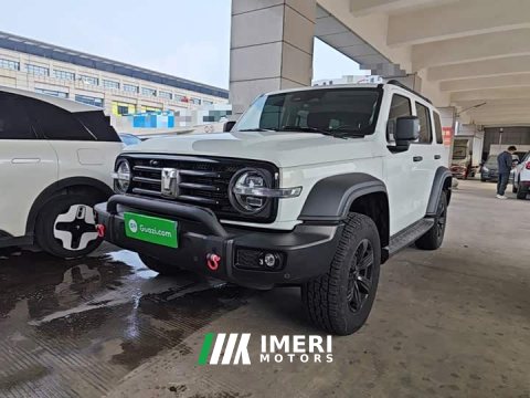 2023 Tank 300 Off-Road Edition 2.0T Challenger - ავტომობილი ჩინეთიდან