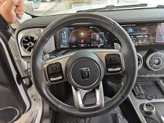Tank 300 Off-Road Edition 2.0T Challenger - ფოტო 10