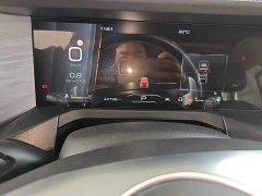 Tank 300 Off-Road Edition 2.0T Challenger - ფოტო 11