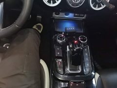 Tank 300 City Edition 2.0T Stylish - ფოტო 13