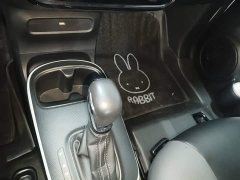 SAIC Clever 311km Vitality Pop Edition - photo 13