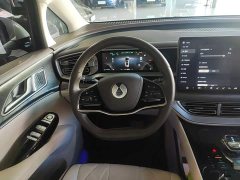 Denza D9 DM-i 1050 Premium - ფოტო 10