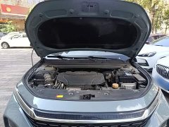 Baojun Valli 1.5T Nagqu Starry CVT Premier - ფოტო 19