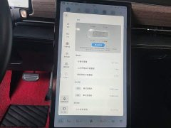 XPeng P5 550P - ფოტო 12