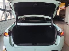 XPeng P5 550P - ფოტო 18